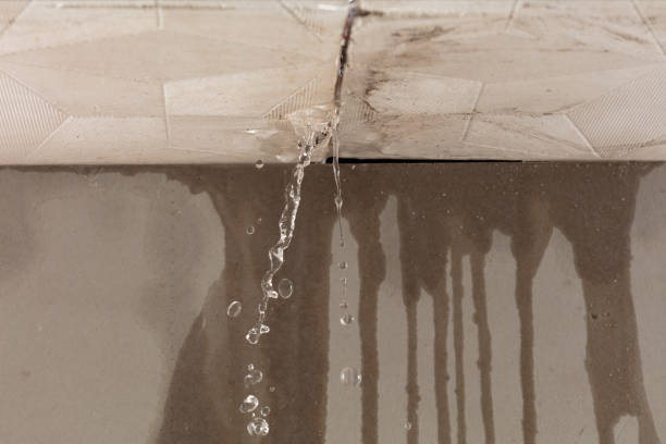 Professional Sewage Cleanup technician working in Pullman, MI